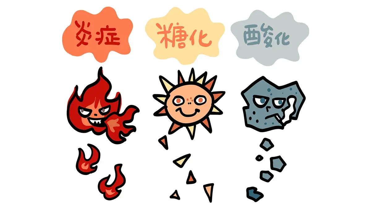 肌の糖化・酸化が老け見えを招く？！原因や炎症との関連性のアイキャッチ画像