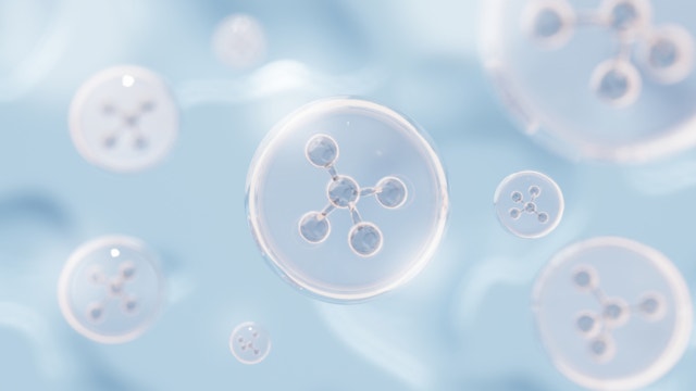 老化細胞とは？肌の“慢性炎症”との関係