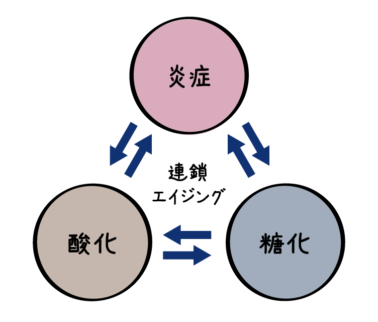 図：糖化・酸化・炎症